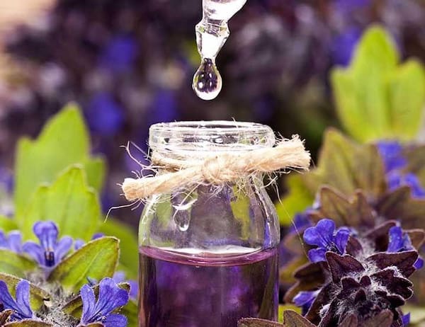 تصویر 2 از قیمت اسانس گیاه اسطوخودوس + خرید باور نکردنی